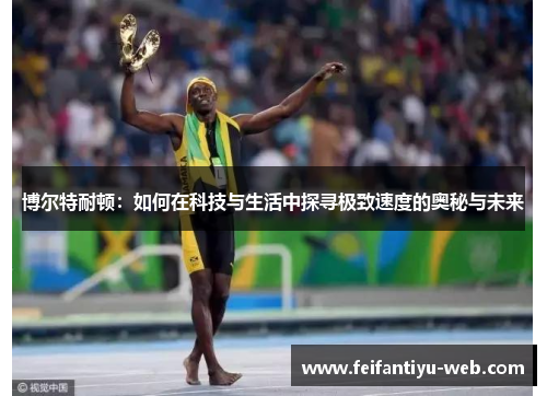 博尔特耐顿：如何在科技与生活中探寻极致速度的奥秘与未来