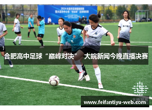 合肥高中足球“巅峰对决”  大皖新闻今晚直播决赛